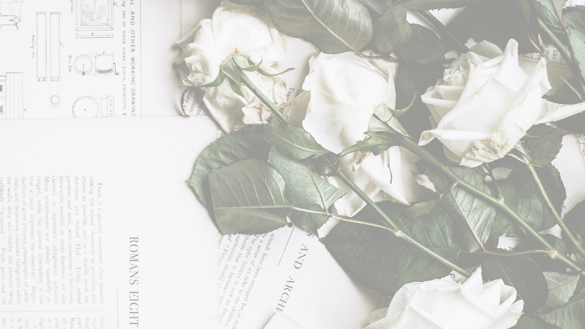 Resurrection  & Life