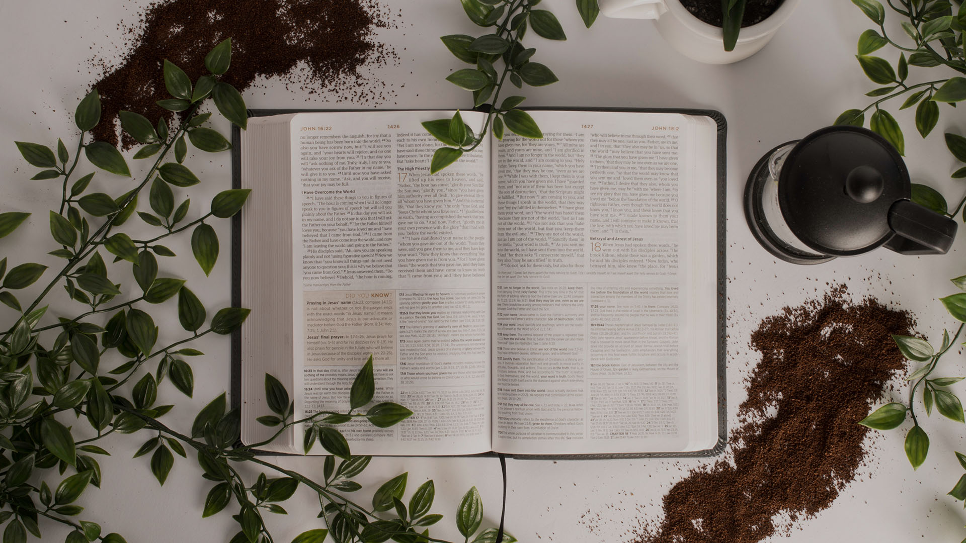 Living the Fullest Life