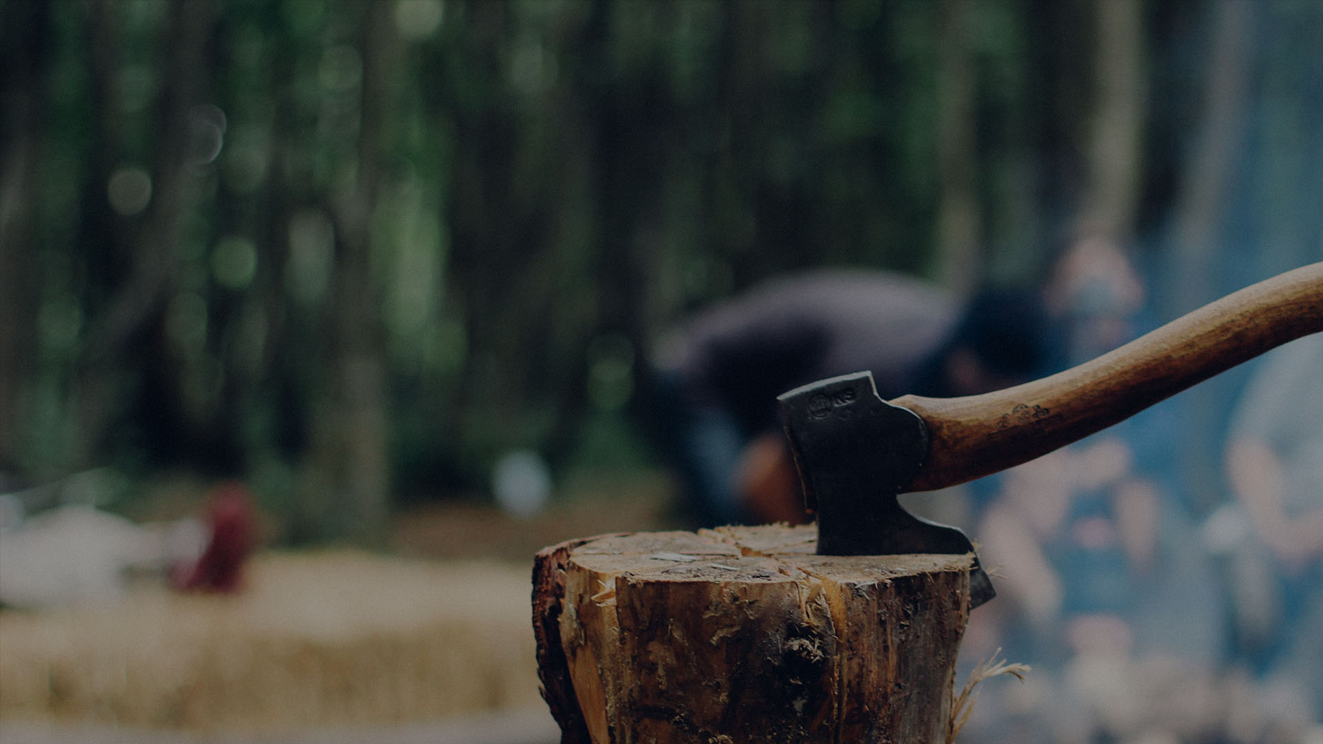 Where Did You Lose It?