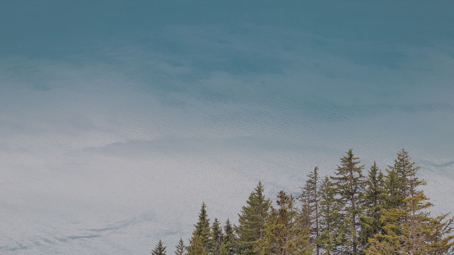 Courage for the Moment